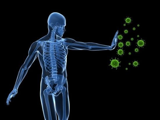 12 Steps to Support The Immune System